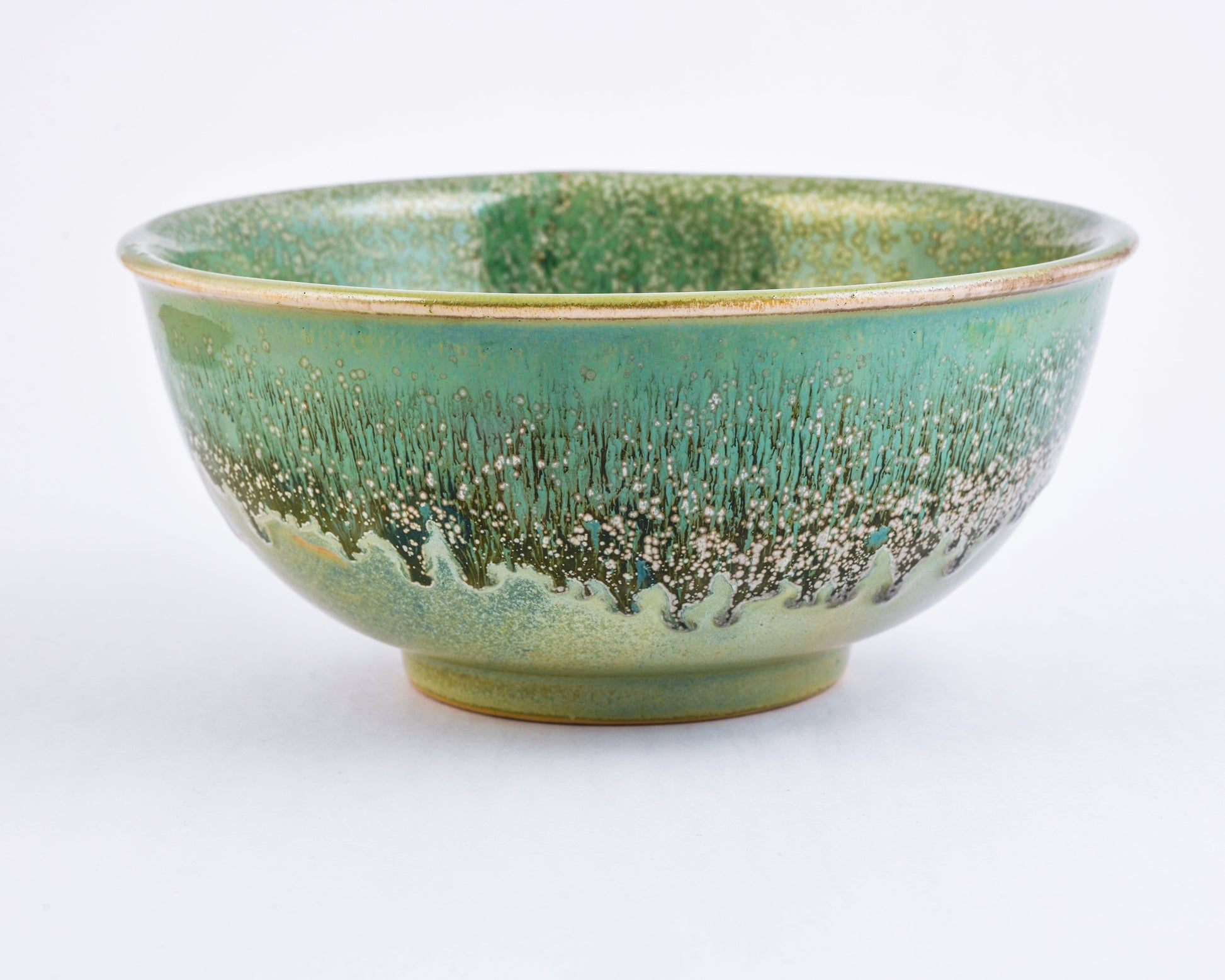 SAGE DINNERWARE | SET OF NINE